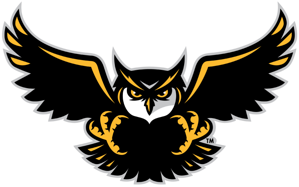 Kennesaw State Owls 2012-Pres Alternate Logo v4 iron on transfers for fabric